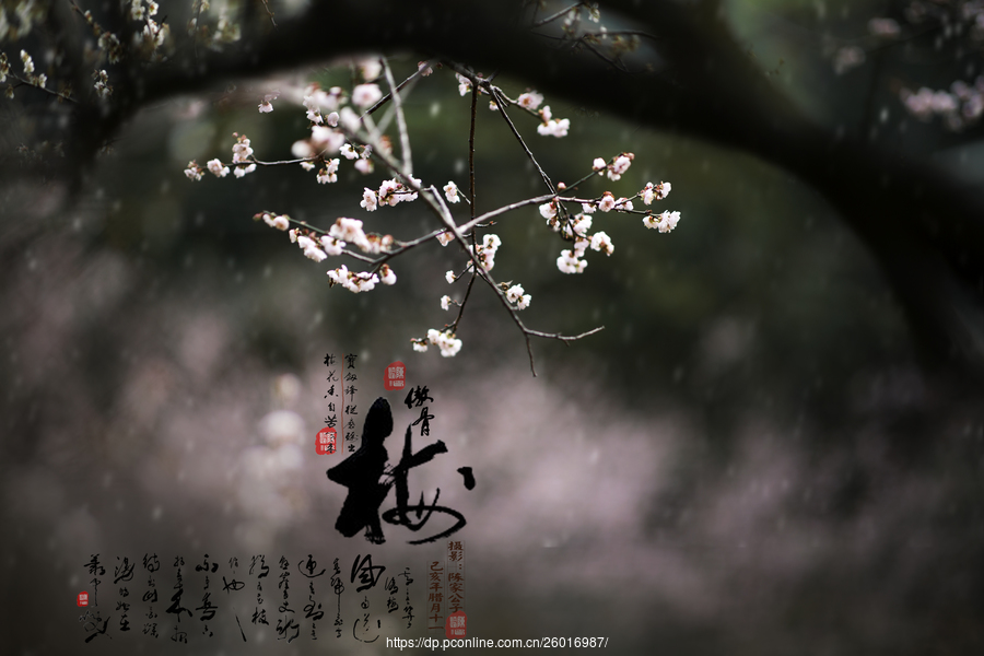 AG亚娱集团官方:
中国网络媒体论坛今开幕:聚人心添动能 上海媒体融合走向纵深(图7) ag亚娱官网